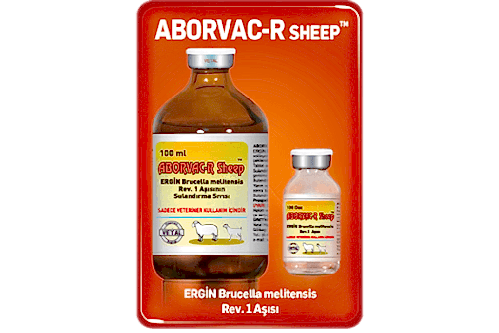 Aborvac R Sheep