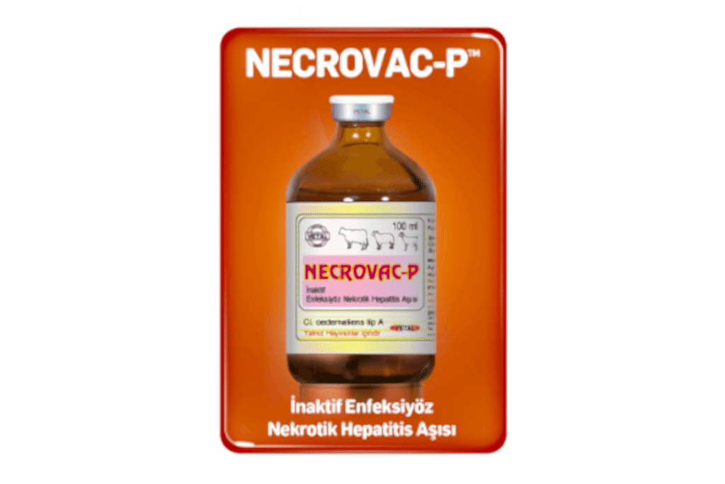 Necrovac-P