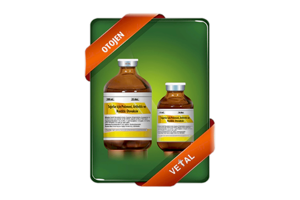 Pnömoni, Arthritis ve Mastitis Otovaksini