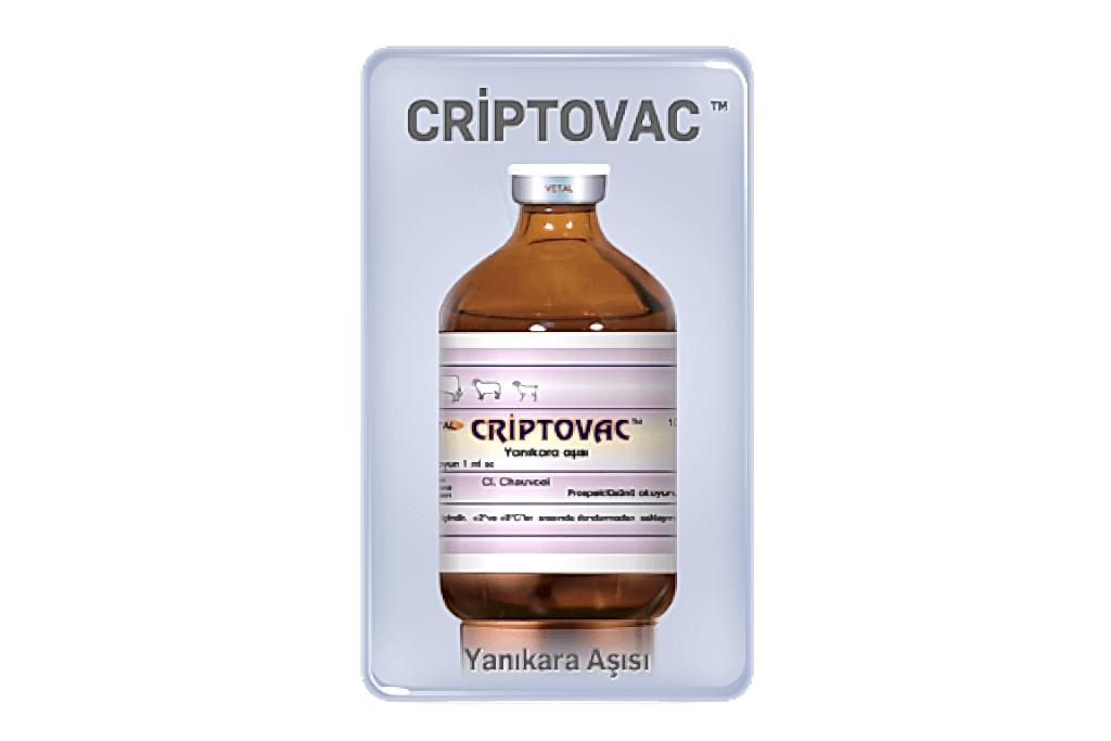 Criptovac