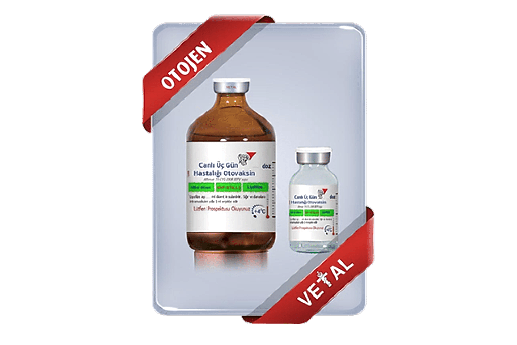 Canlı Üç Gün Hastalığı Otovaksini