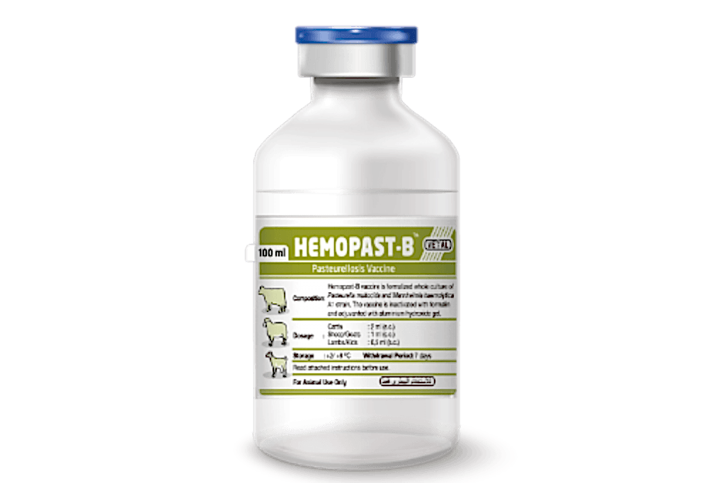 Hemopast-B (Bivalan Pasteurella Vaccine)
