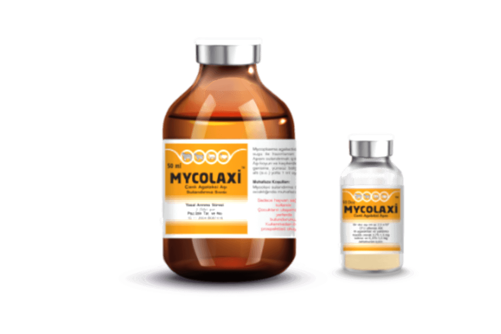 Mycolaxi (Mycoplasma Agalactiae Vaccine)