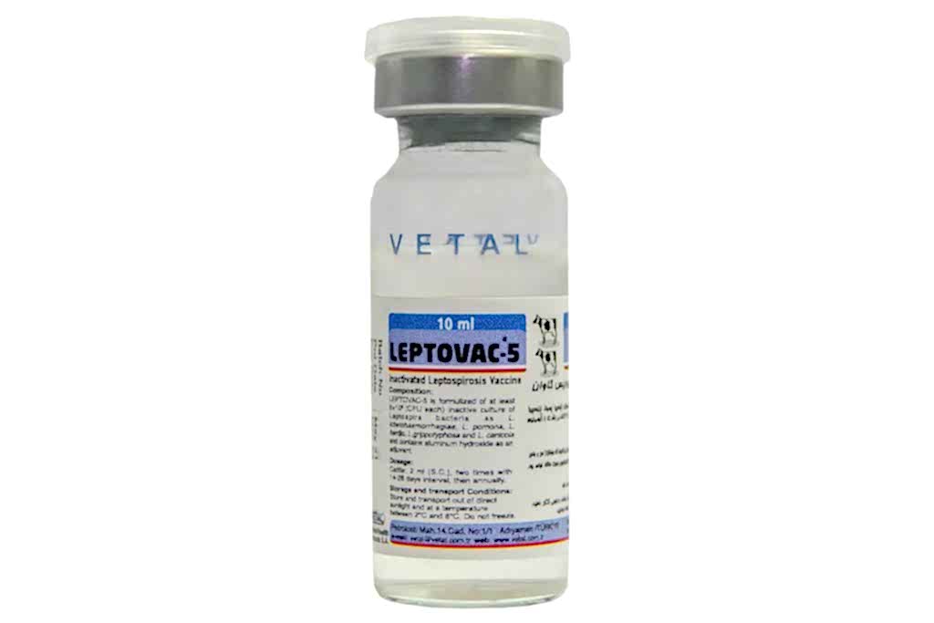 LEPTOVAC-5