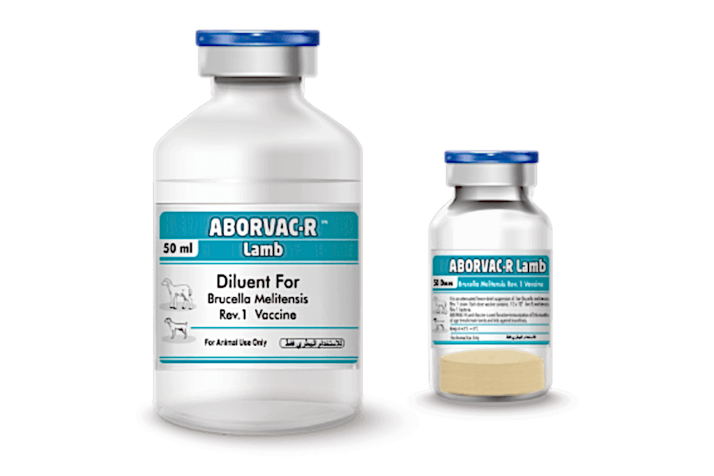 Aborvac R Lamb (Brucella melitensis Rev1 injection Vaccine)
