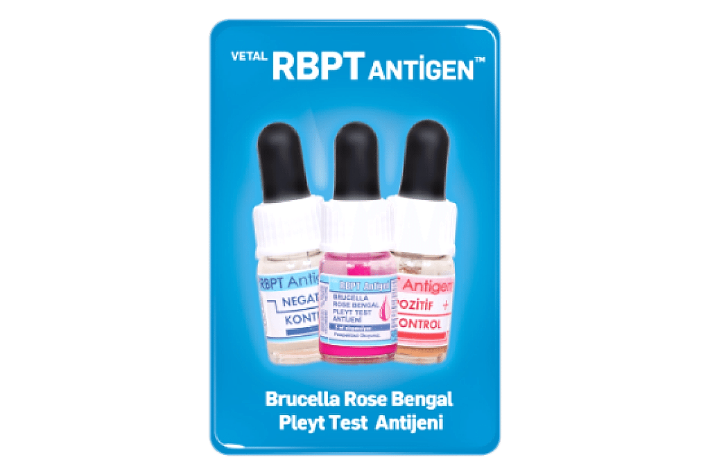 RBPT Antigen