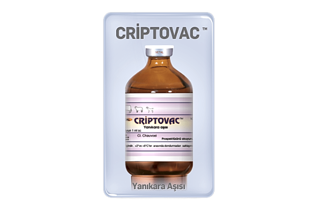 Criptovac
