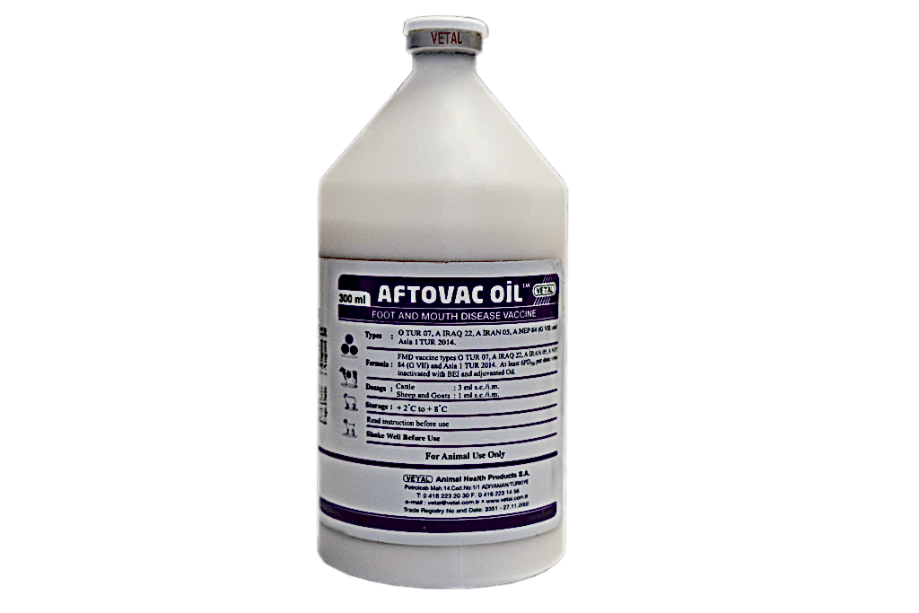 Agalaksivac-Oil (Contagious Mycoplazma Syndrome Vaccine with oil adjuvant)