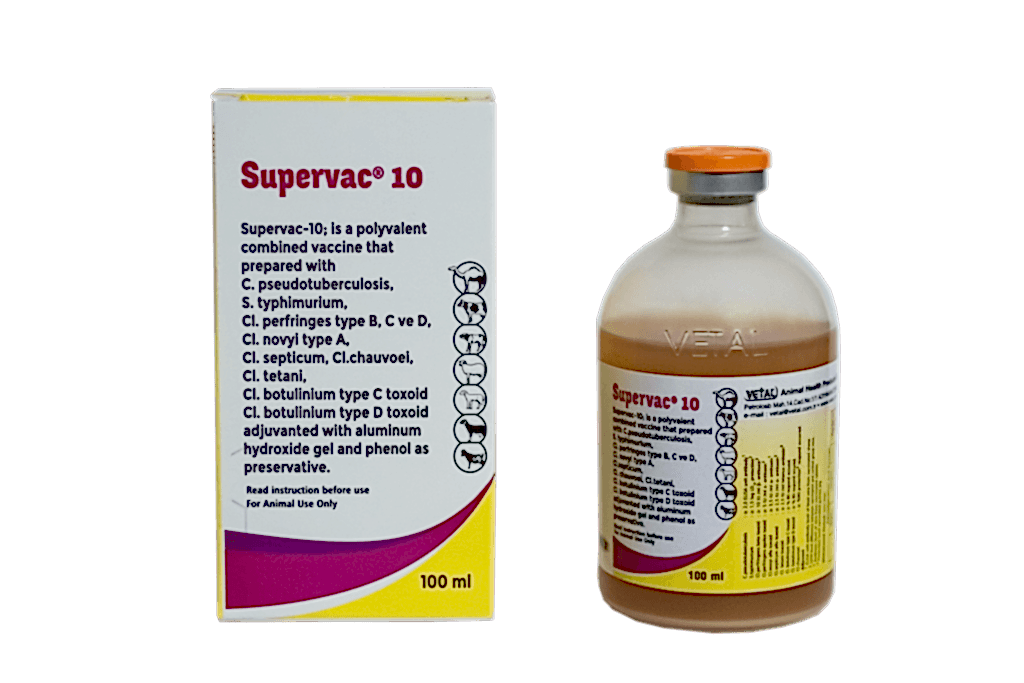 SUPERVAC 10