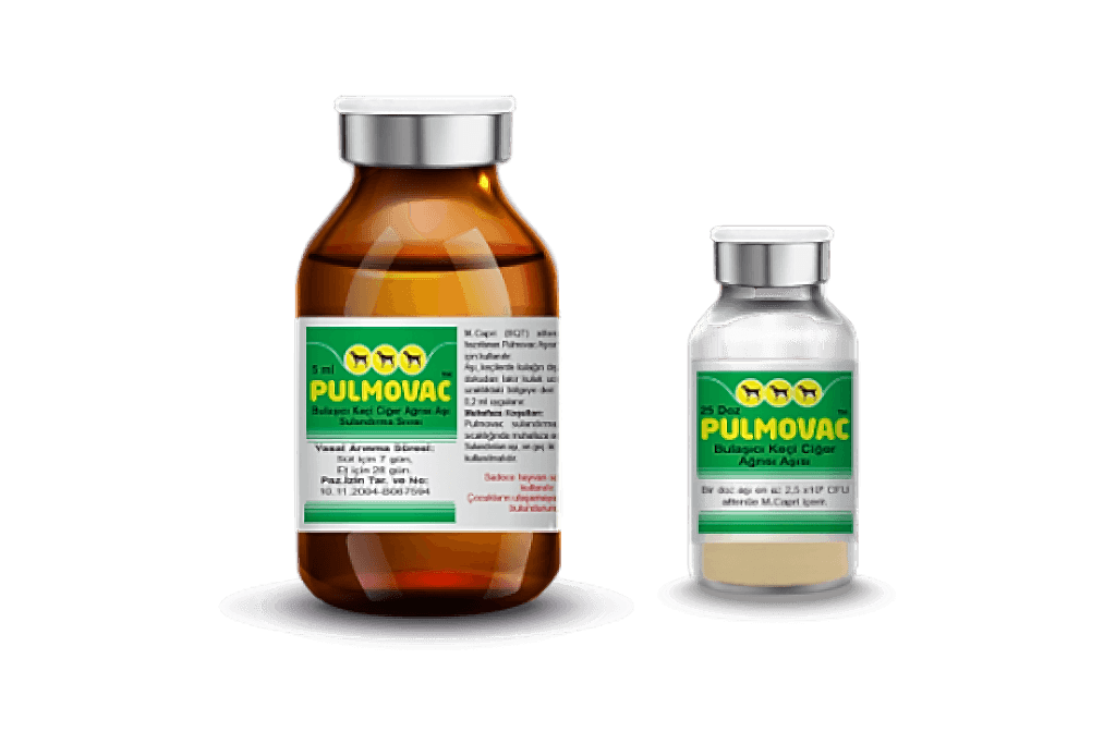 Pulmovac (M. Capri (BQT) Vaccine)