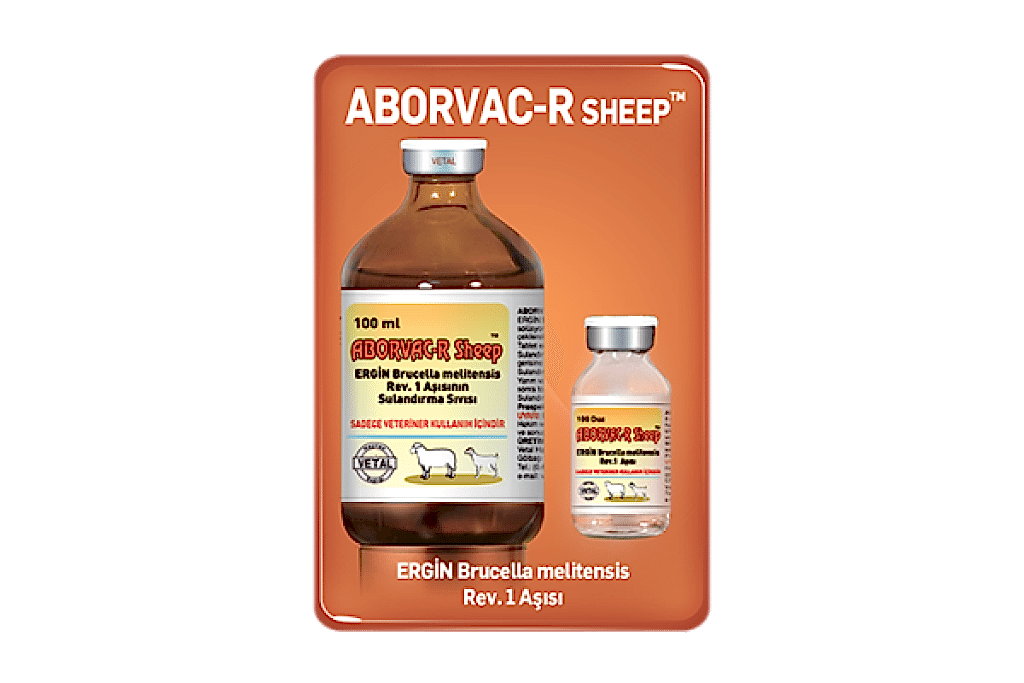 Aborvac R Sheep ((Brucella melitensis Rev1, injection Vaccine)
