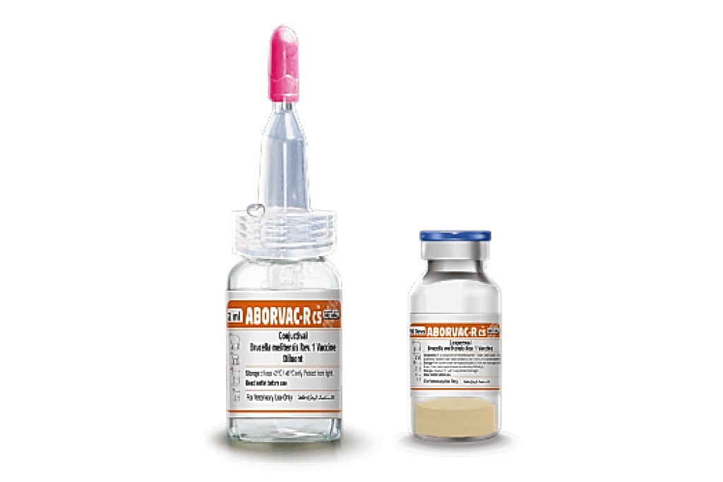 Aborvac-R CS (Brucella melitensis Rev1, Conjuctival Vaccine)